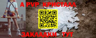 jwh Кингисепп