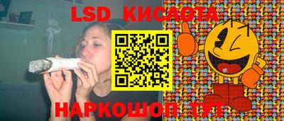 jwh Кингисепп