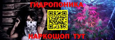 jwh Кингисепп