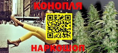 jwh Кингисепп