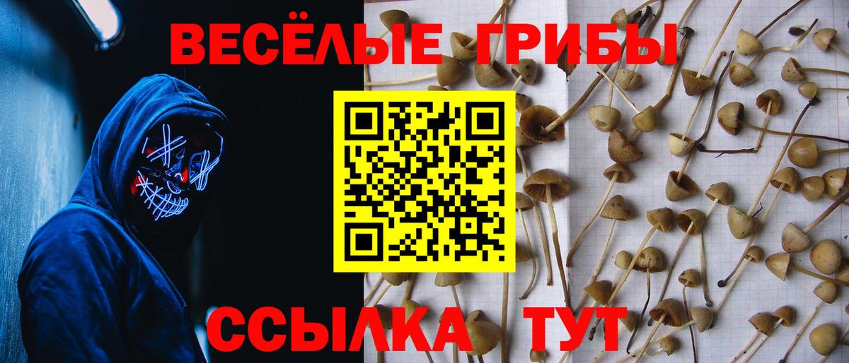 Псилоцибиновые грибы ЛСД  Вход с VPN  Галлюциногенные грибы Psilocybine cubensis  Краснодар 